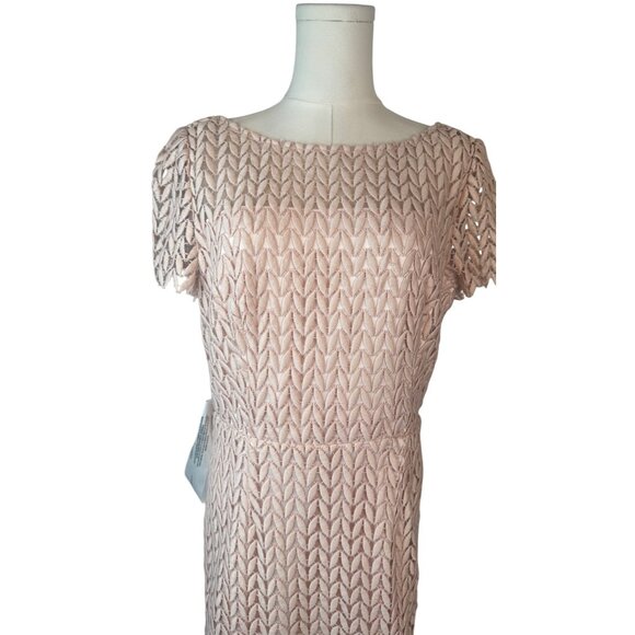 NWT Kay Unger New York Size 10 Lace Overlay Dress Blush Pink Polyester Blend - Picture 8 of 16